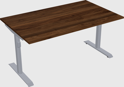 Dual motor electric desk