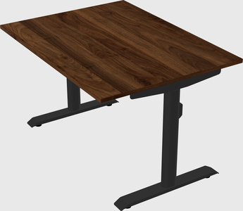 Dual motor electric desk