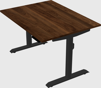 Dual motor electric desk