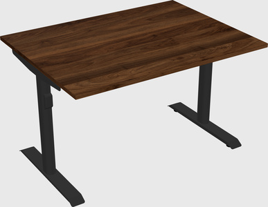 Dual motor electric desk