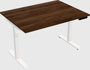 Dual motor electric desk