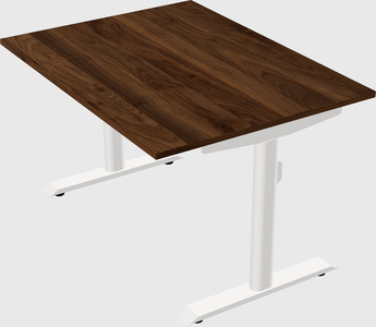 Dual motor electric desk