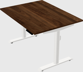 Dual motor electric desk