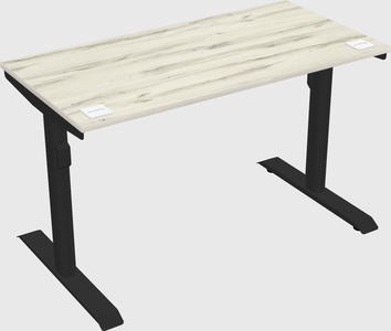 Dual motor electric desk