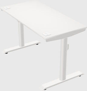 Dual motor electric desk