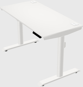 Dual motor electric desk