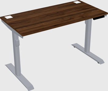 Dual motor electric desk