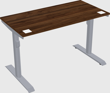 Dual motor electric desk