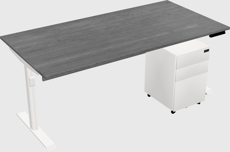 Dual motor electric desk