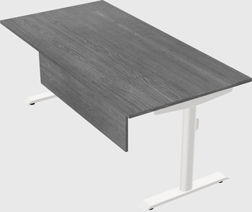 Dual motor electric desk