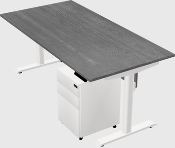Dual motor electric desk