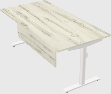 Dual motor electric desk