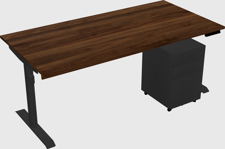 Dual motor electric desk