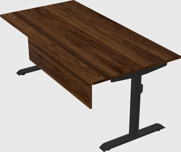 Dual motor electric desk