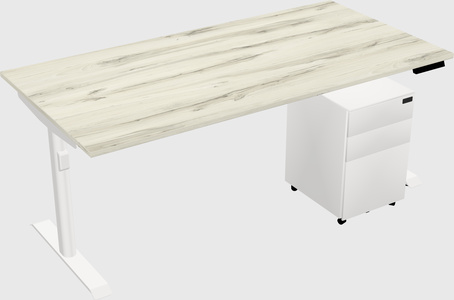 Dual Motor Electric Desk