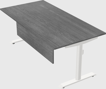 Dual motor electric desk