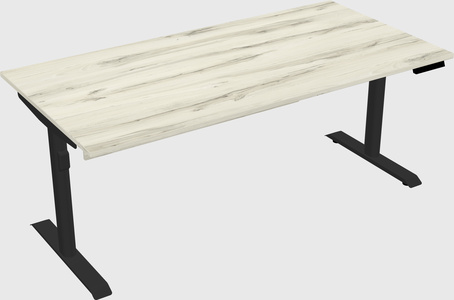Dual motor electric desk