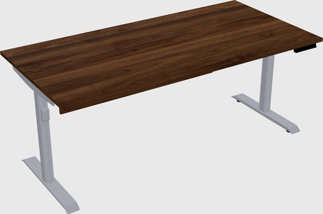 Dual motor electric desk