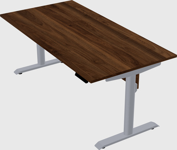 Dual motor electric desk