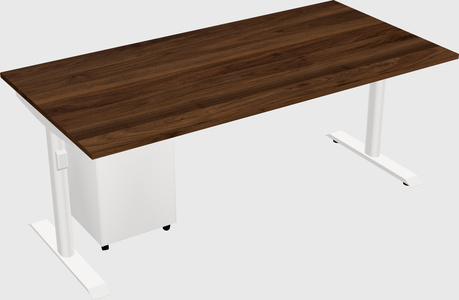 Dual motor electric desk