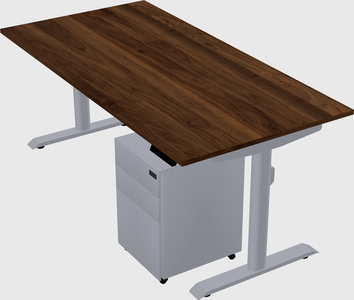 Dual motor electric desk