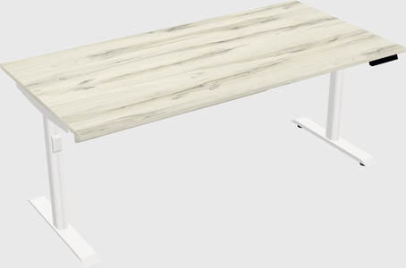 Dual motor electric desk