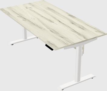 Dual motor electric desk