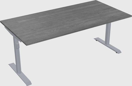 Dual motor electric desk
