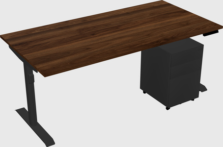Dual motor electric desk