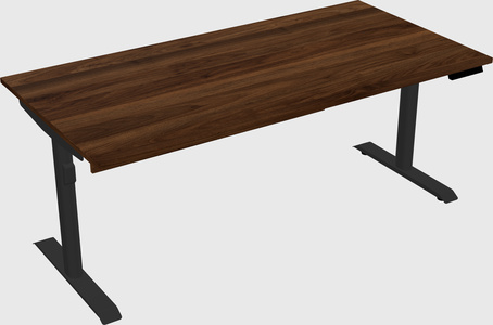 Dual motor electric desk