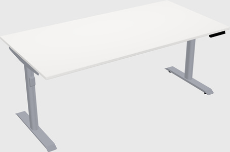 Dual motor electric desk