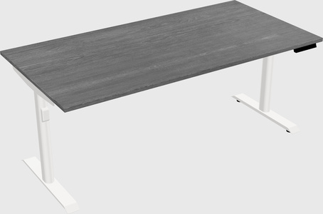 Dual motor electric desk