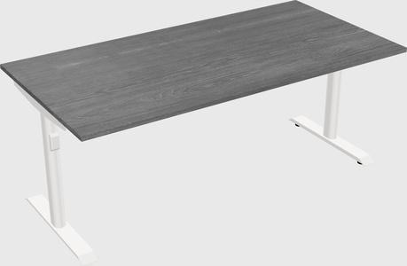 Dual motor electric desk
