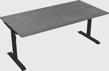 Dual motor electric desk