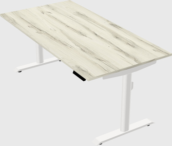 Dual motor electric desk