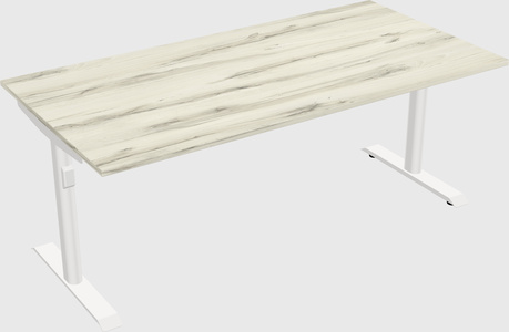 Dual motor electric desk