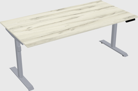 Dual motor electric desk