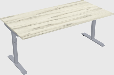 Dual motor electric desk