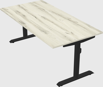 Dual motor electric desk