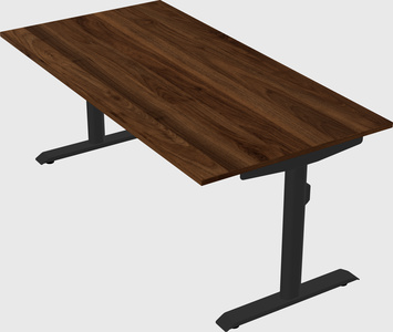 Dual motor electric desk