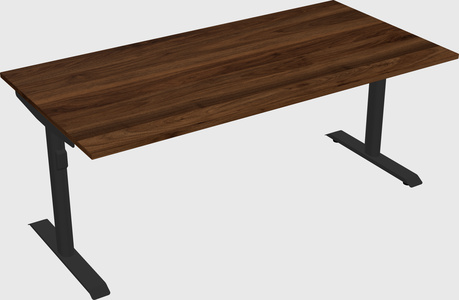 Dual motor electric desk