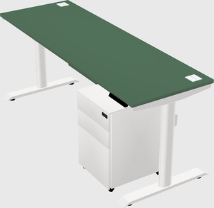 Dual motor electric desk