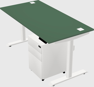 Dual motor electric desk
