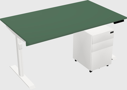 Dual Motor Electric Desk