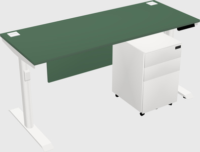 Dual Motor Electric Desk
