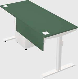 Dual motor electric desk