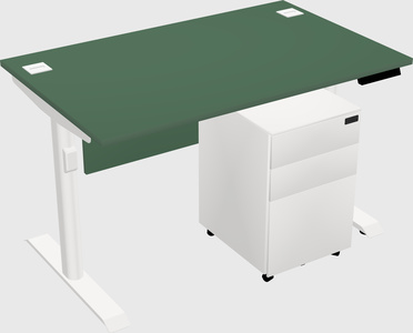 Dual Motor Electric Desk