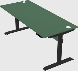 Dual motor electric desk