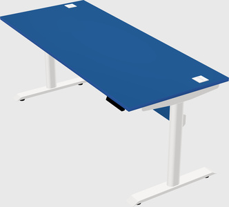 Dual motor electric desk