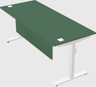 Dual motor electric desk